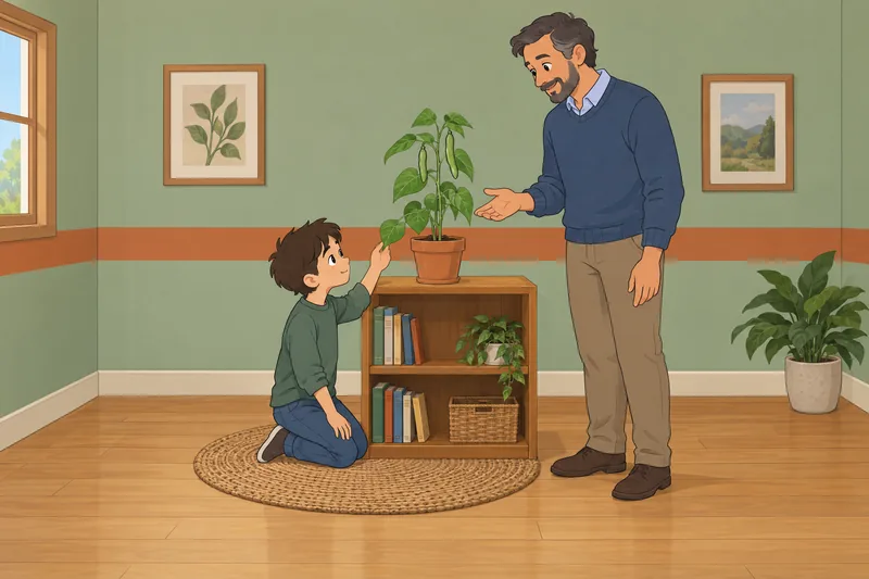 3rd Grade Science: boy observes a plant.
