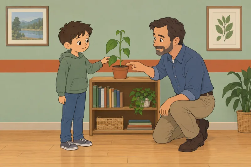 cuestionario de Ciencias: niño observa una planta.