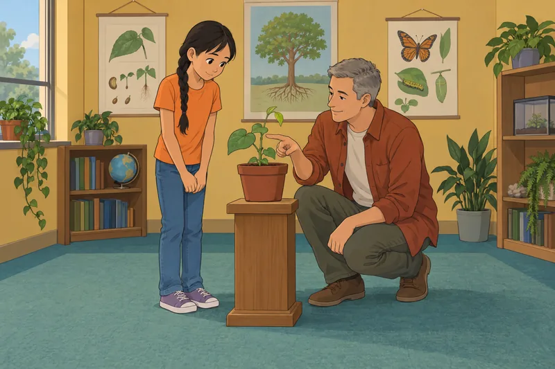 El cuestionario de Ciencias observa una planta.