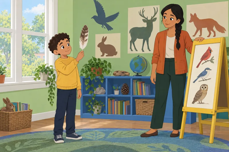 Animal Quiz for children: a feather study.