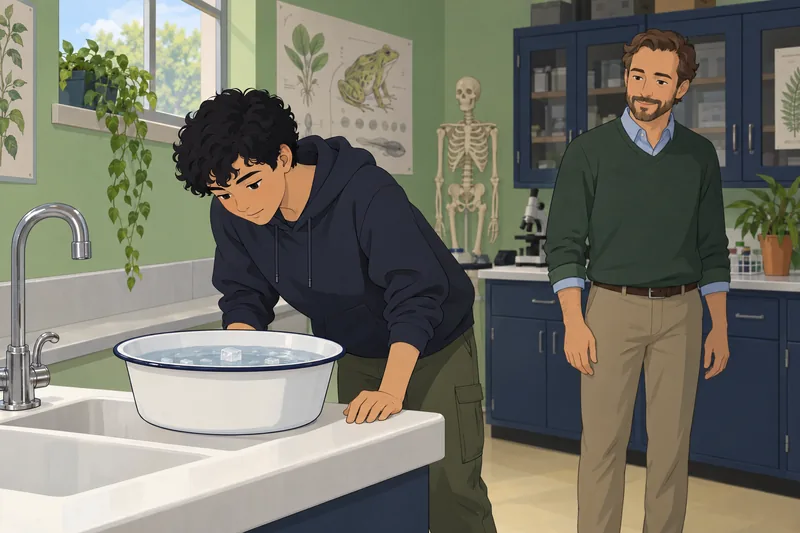 El cuestionario de la unidad observa agua.