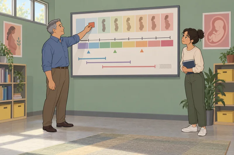 Baby Due Date lessons unfold on a timeline.