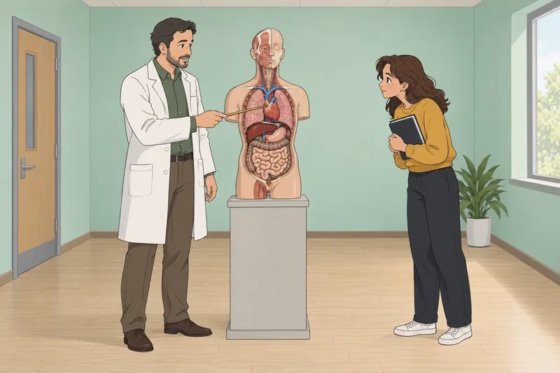 Body Parts Quiz shows an anatomy lesson.