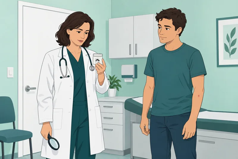 cuestionario de identificación: una doctora examina una muestra.