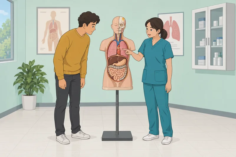 Diseases Quiz shows an organ-model lesson.