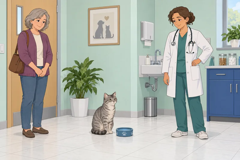 cuestionario sobre la muestra a un gato bebiendo.