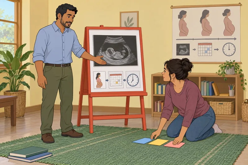 ¿De cuántas semanas? Una alumna ordena etapas.