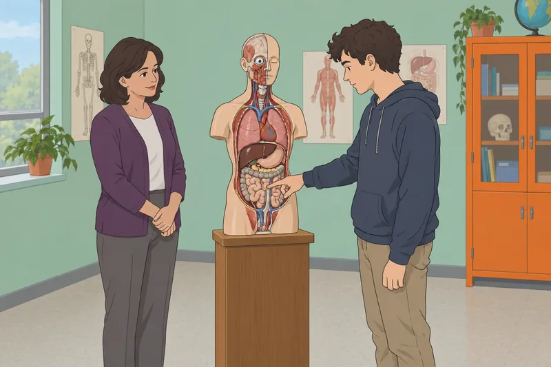 El cuestionario de identificación muestra anatomía.