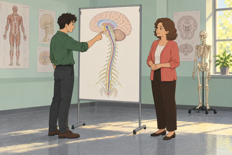 Neuroanatomy Quiz shows a student tracing pathways.