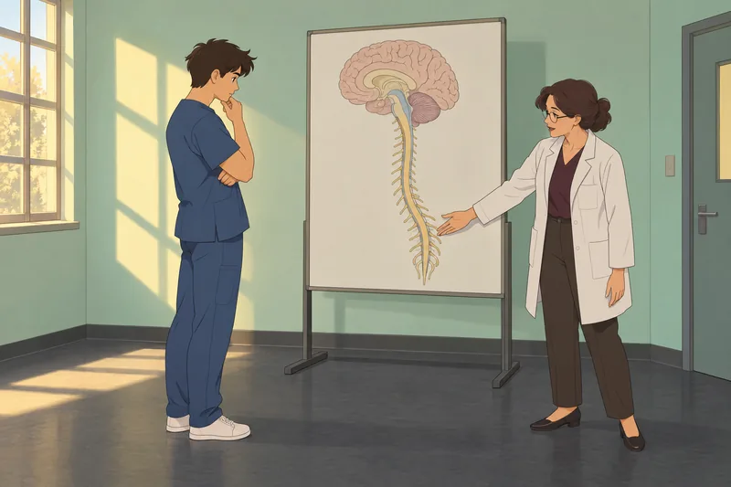 El cuestionario de neuroanatomía muestra una ruta cerebral.