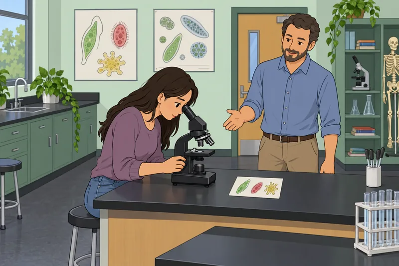 Protist Quiz: a student studies a slide.