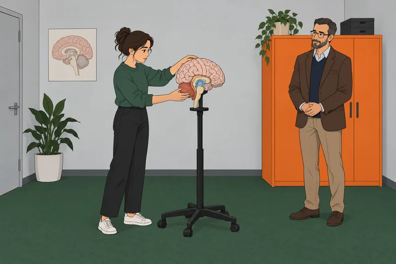 Psychology 101 Quiz shows a brain model.