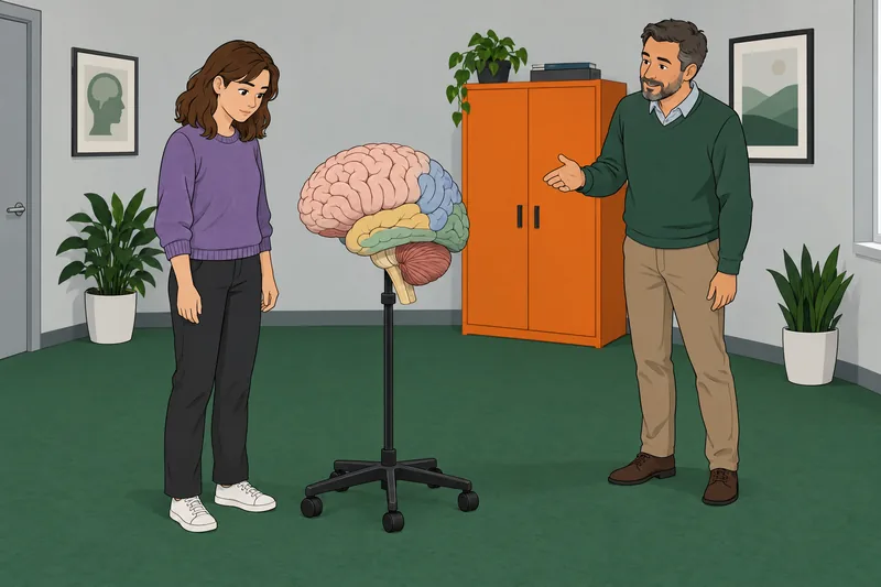 Prueba de introducción muestra un modelo cerebral.