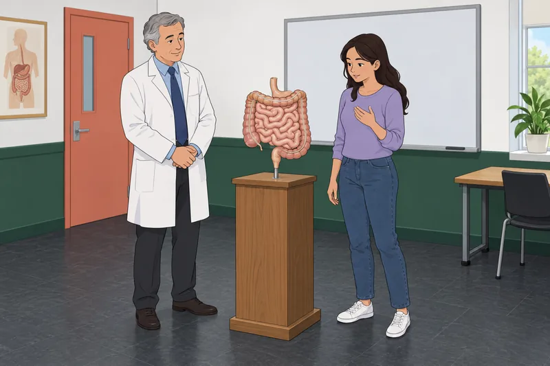 cuestionario sobre SIBO: estudiante observa un modelo intestinal.
