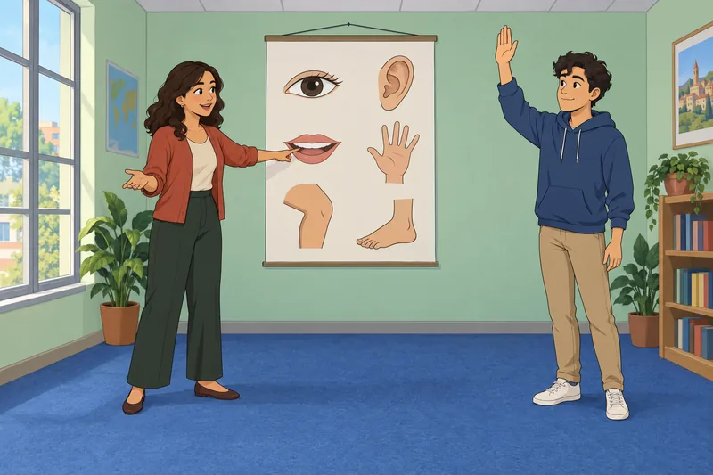 Spanish Body Parts fill a classroom anatomy poster.