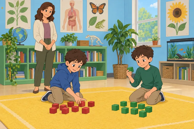 Twin Test Quiz follows twins sorting biology blocks.