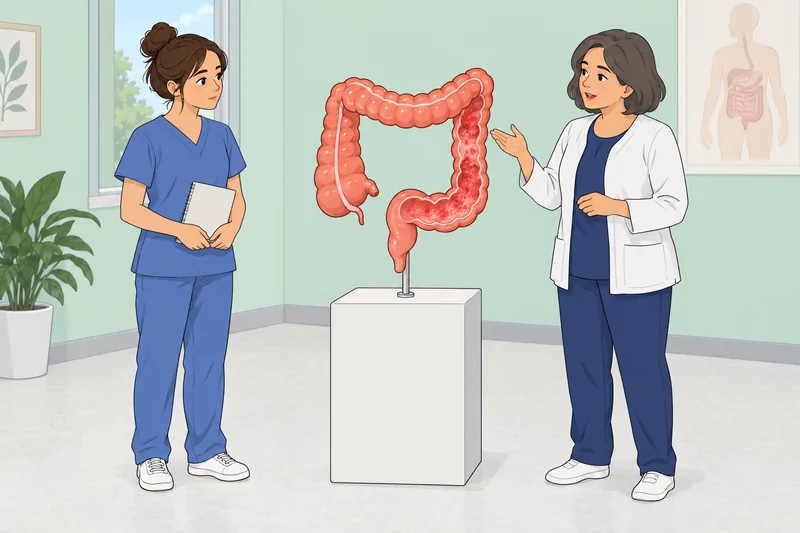 El cuestionario sobre colitis muestra un modelo anatómico.