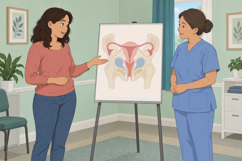 El cuestionario sobre la anatomía básica orienta.